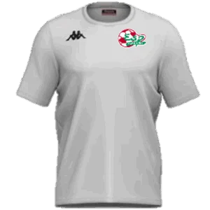 TEE SHIRT BRIZZO COTON BLANC