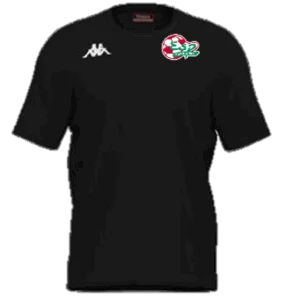 TEE SHIRT BRIZZO COTON NOIR