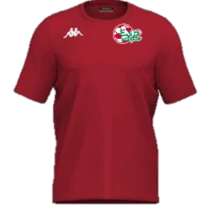 TEE SHIRT BRIZZO COTON ROUGE