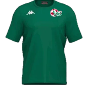 TEE SHIRT BRIZZO COTON VERT